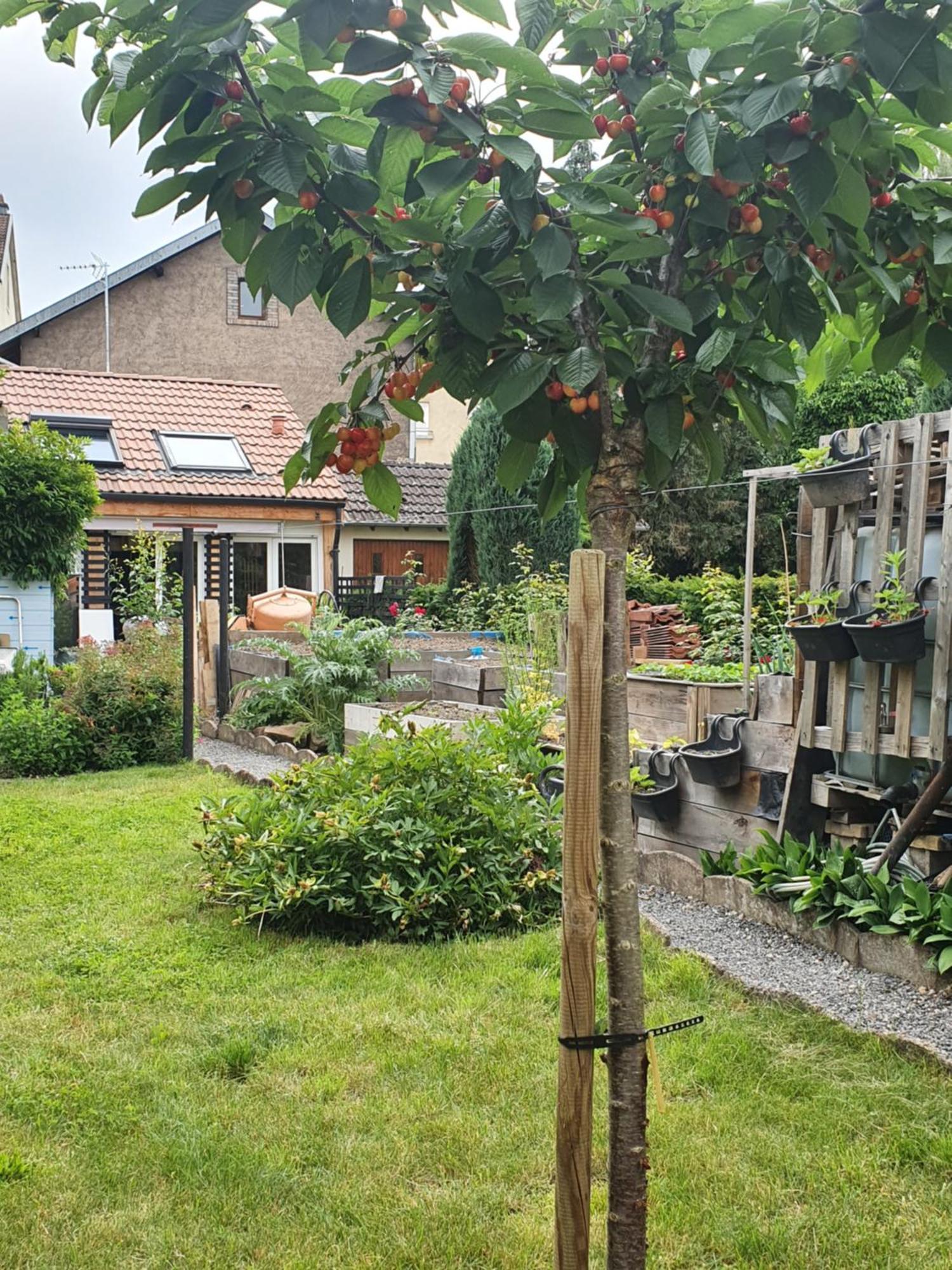 Charles Bed & Breakfast Thaon-les-Vosges Exterior foto